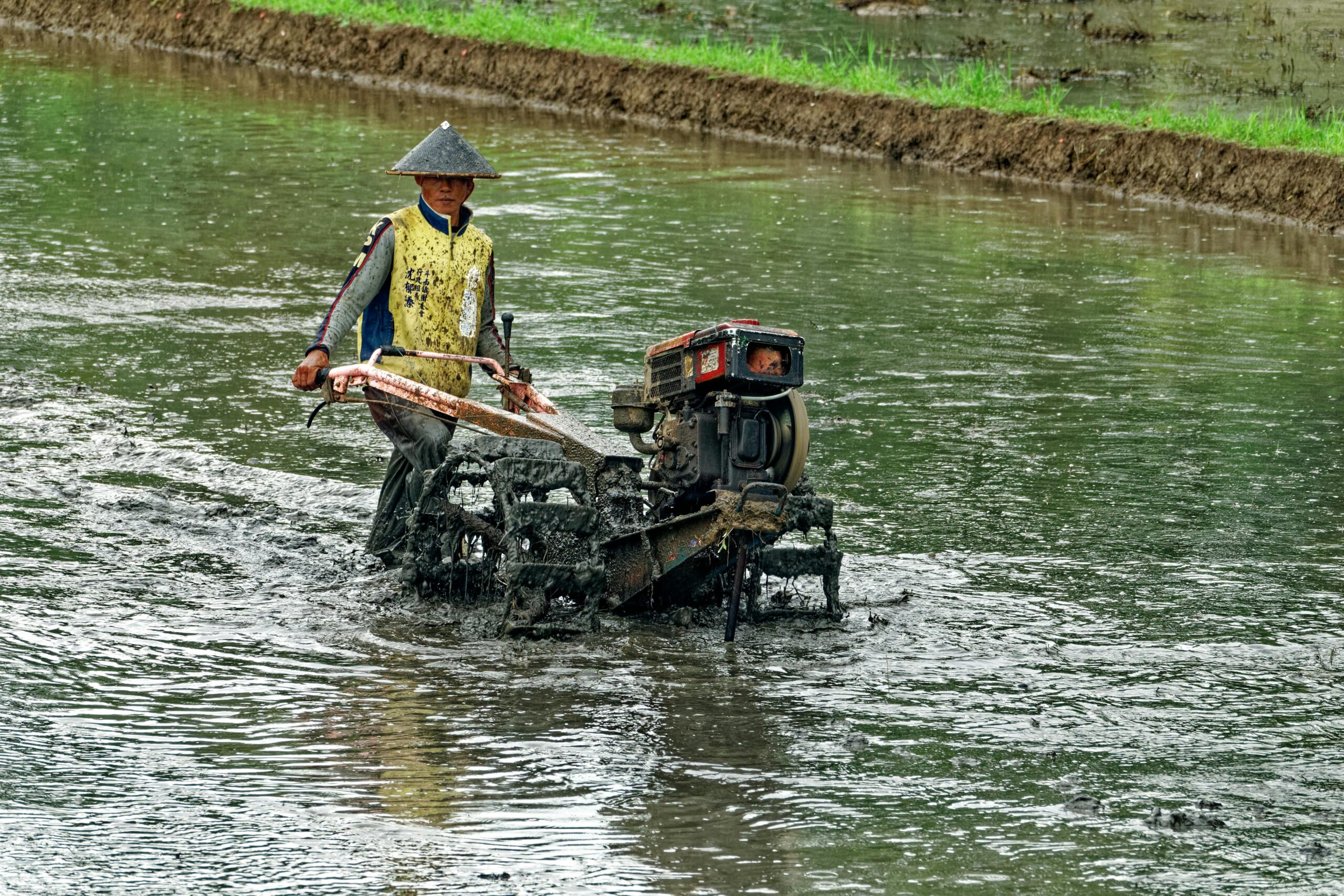 Indonesian farmer using a hand tractor during rice field preparation in Java
